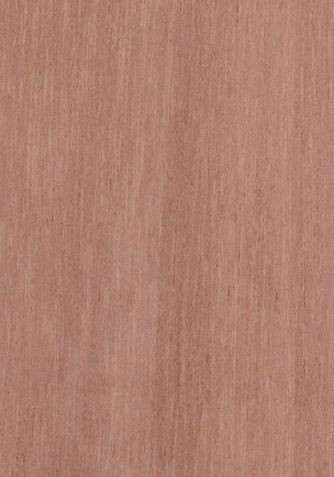 Marine Plywood Pink Species